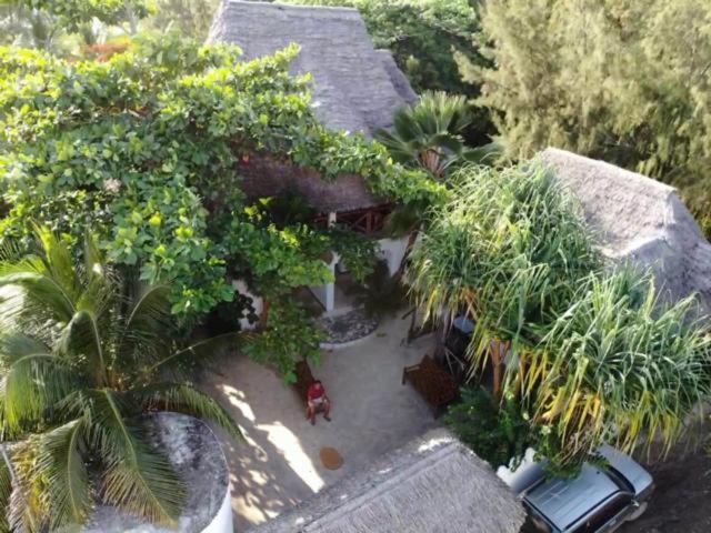 Wonderful Ocean Villa Jambiani  Exterior photo